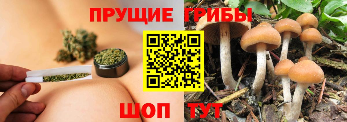 Старая Купавна  Галлюциногенные грибы мухоморы  Вход с VPN 